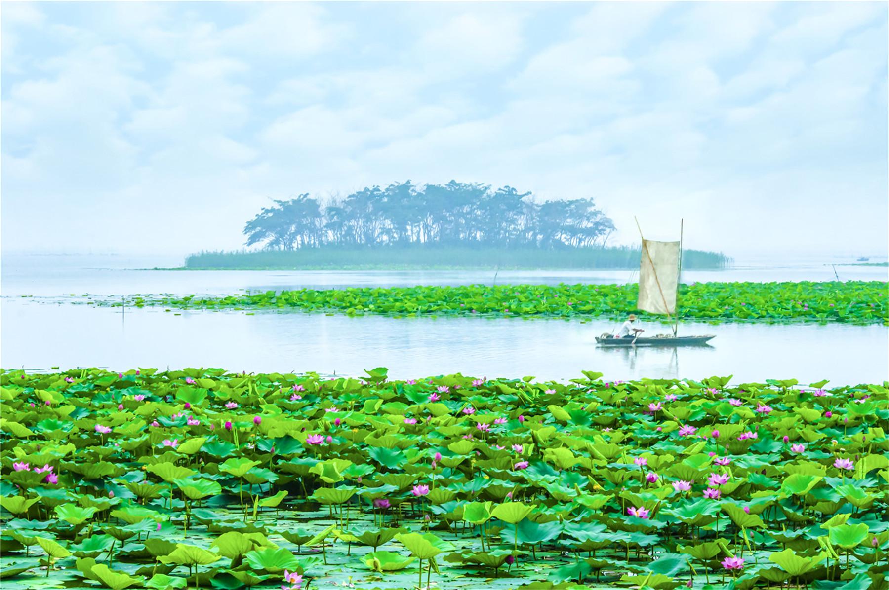 滕州微山湖红荷湿地景区 - 星际高球联盟-中国精英人士高尔夫旅游度假实景