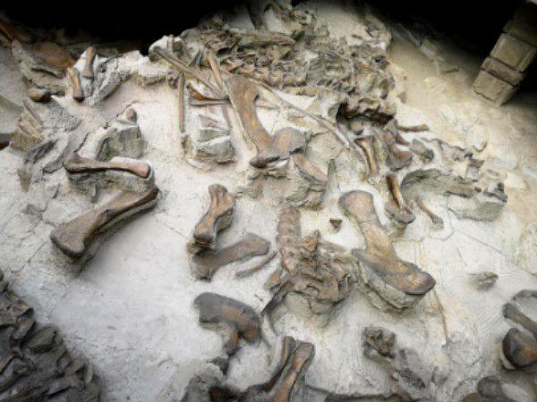 自贡世界地质公园恐龙园区 - 星际高球联盟-中国精英人士高尔夫旅游度假实景