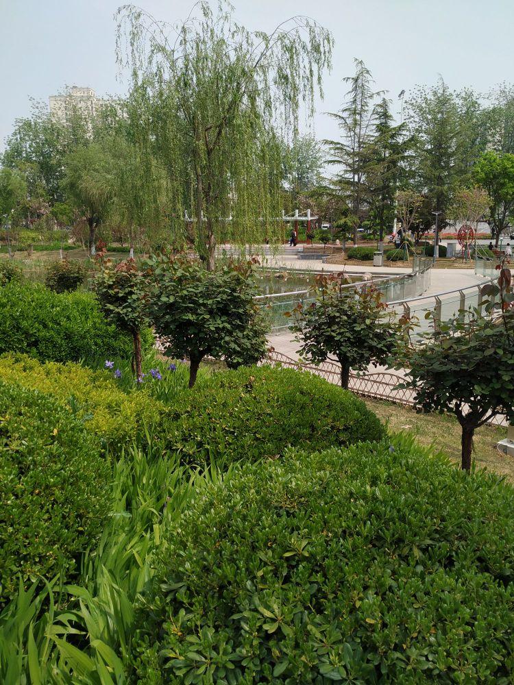 向阳公园 - 星际高球联盟-中国精英人士高尔夫旅游度假实景