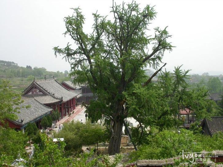 甘泉禅寺 - 星际高球联盟-中国精英人士高尔夫旅游度假实景