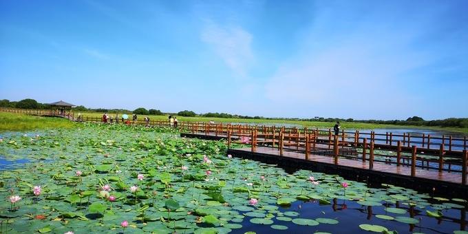 秀山岛湿地公园 - 星际高球联盟-中国精英人士高尔夫旅游度假实景