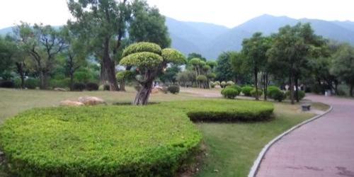 波海湖公园 - 星际高球联盟-中国精英人士高尔夫旅游度假实景