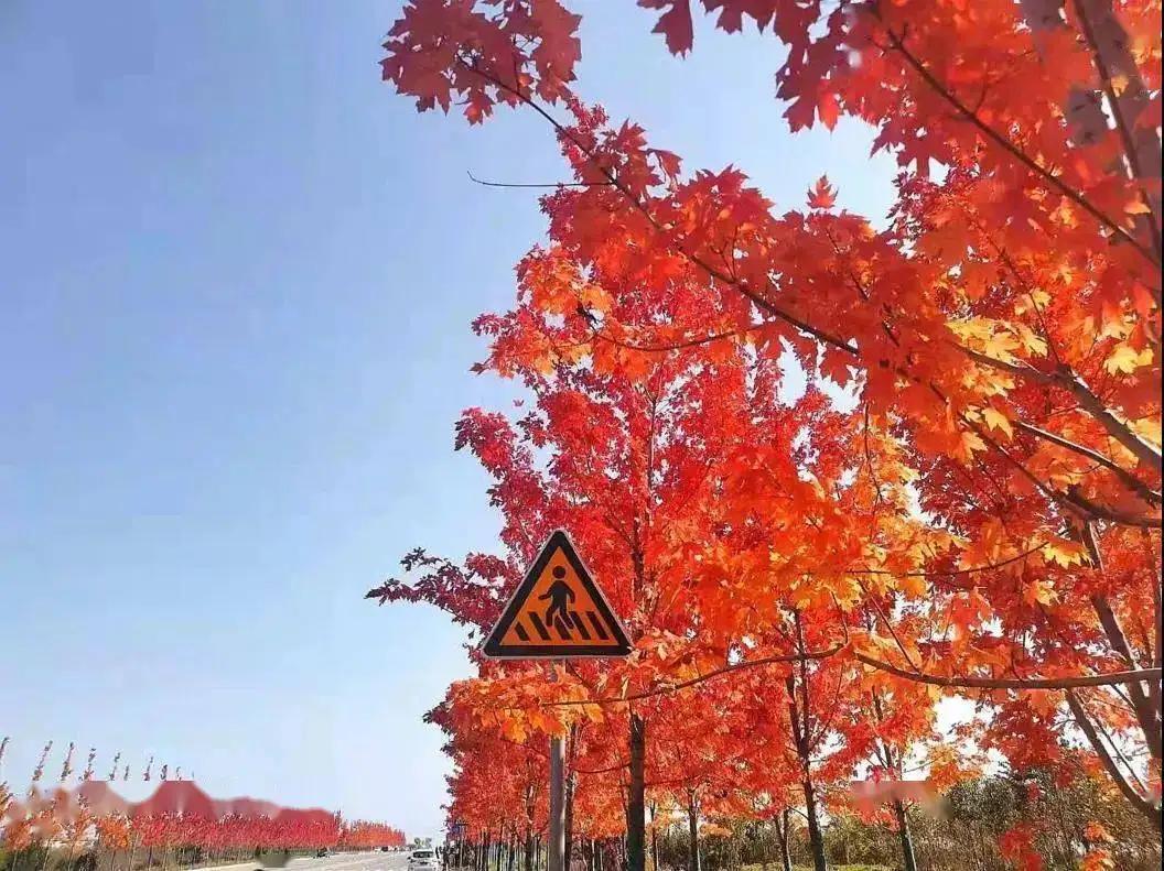 渭河城市运动公园 - 星际高球联盟-中国精英人士高尔夫旅游度假实景
