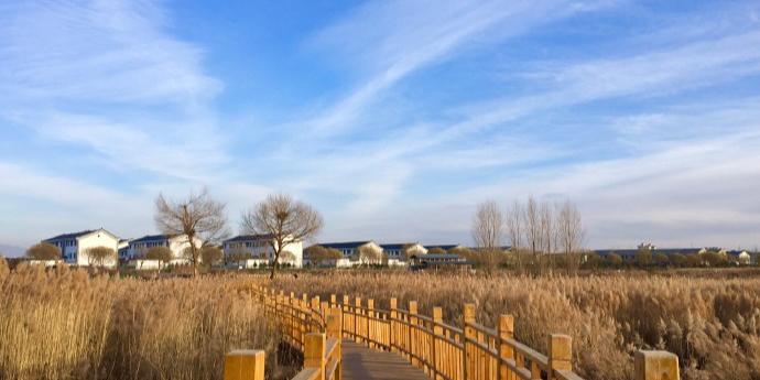 张掖国家湿地公园 - 星际高球联盟-中国精英人士高尔夫旅游度假实景