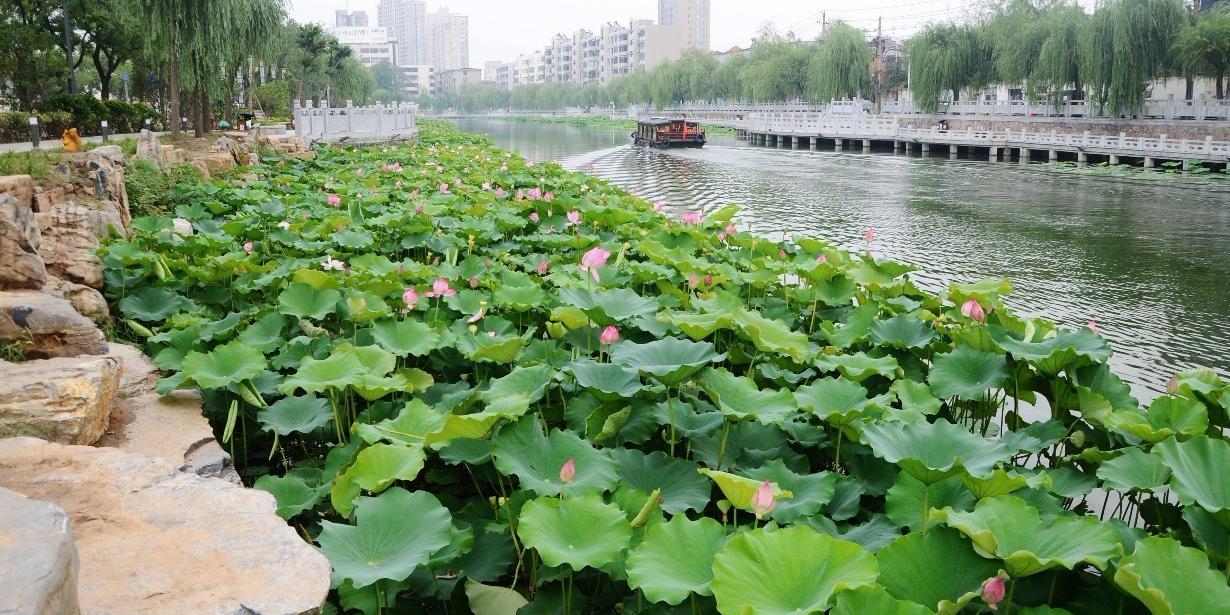 莲花湾游园 - 星际高球联盟-中国精英人士高尔夫旅游度假实景