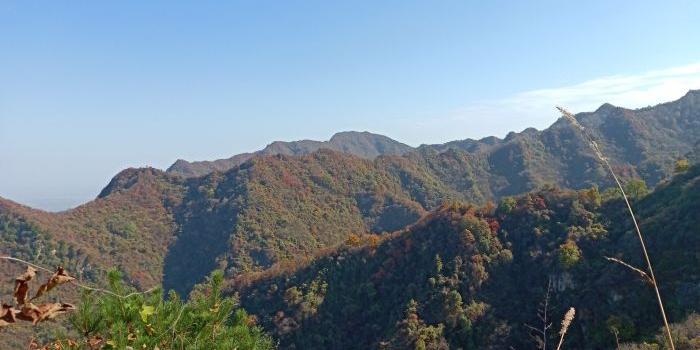 翠峰山 - 星际高球联盟-中国精英人士高尔夫旅游度假实景