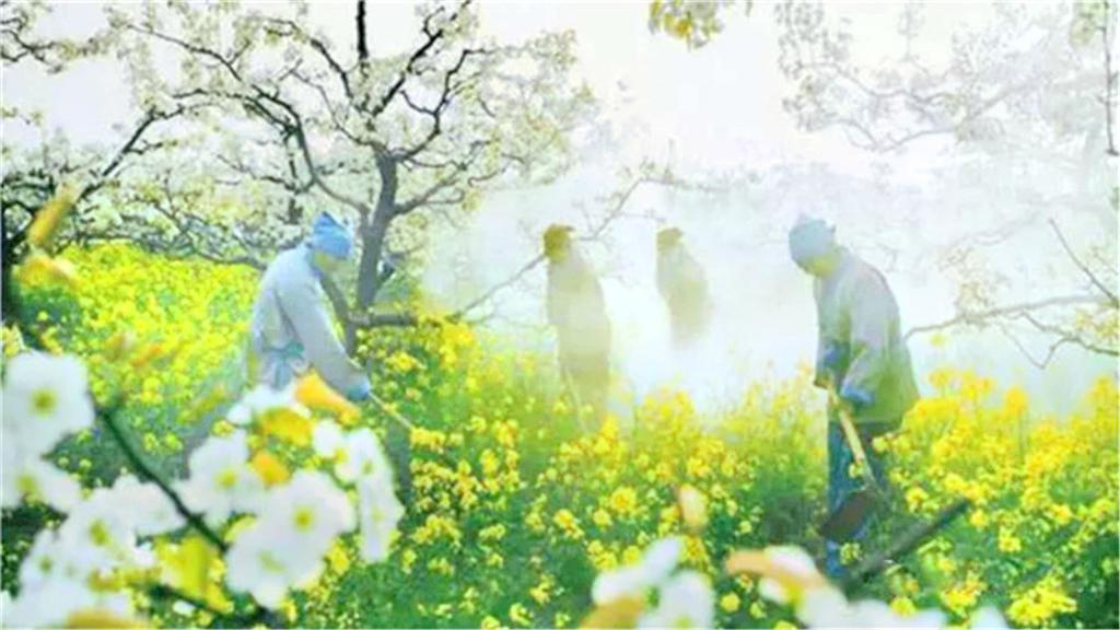 刘村梨园 - 星际高球联盟-中国精英人士高尔夫旅游度假实景