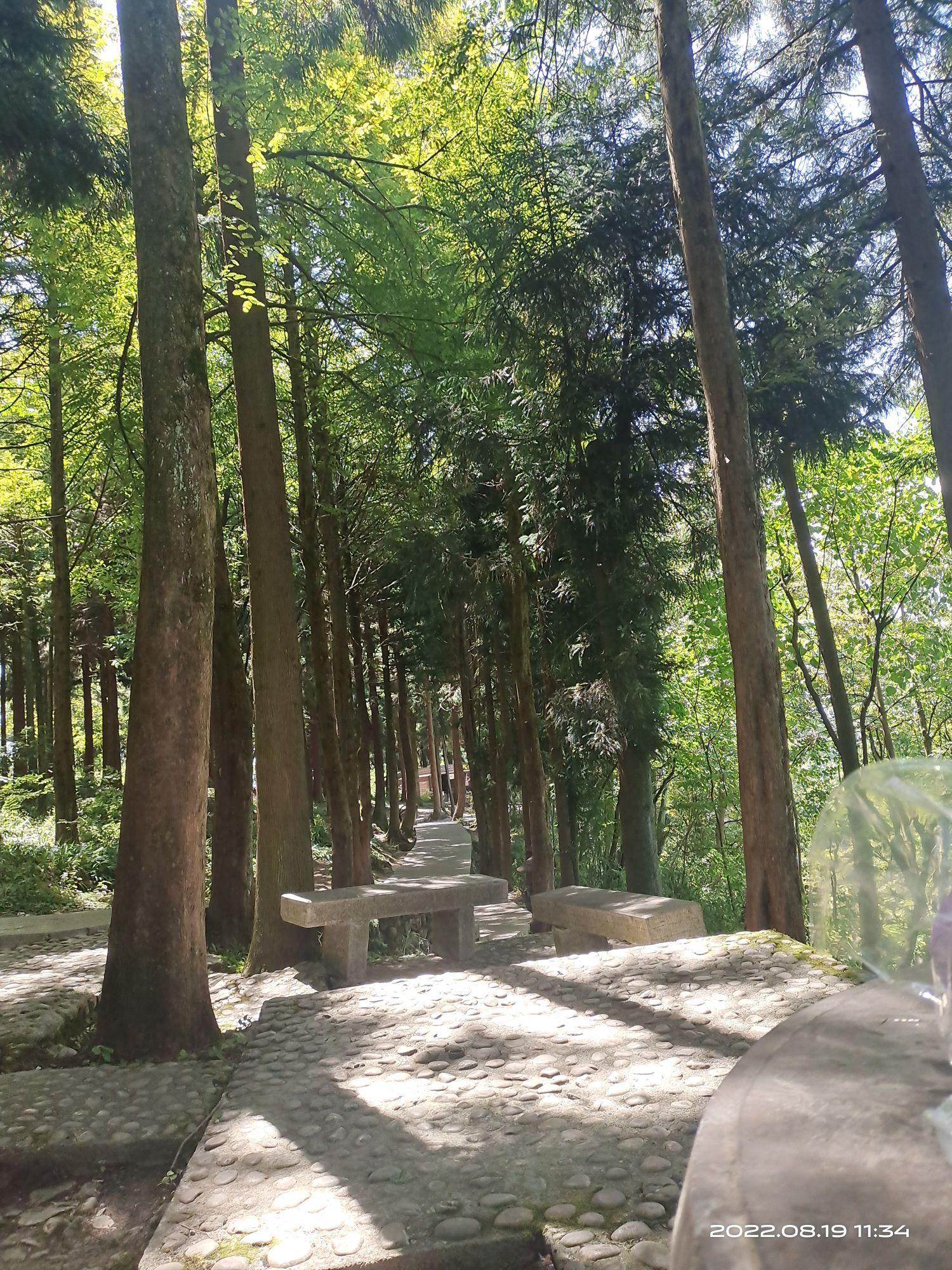 贺龙公园 - 星际高球联盟-中国精英人士高尔夫旅游度假实景