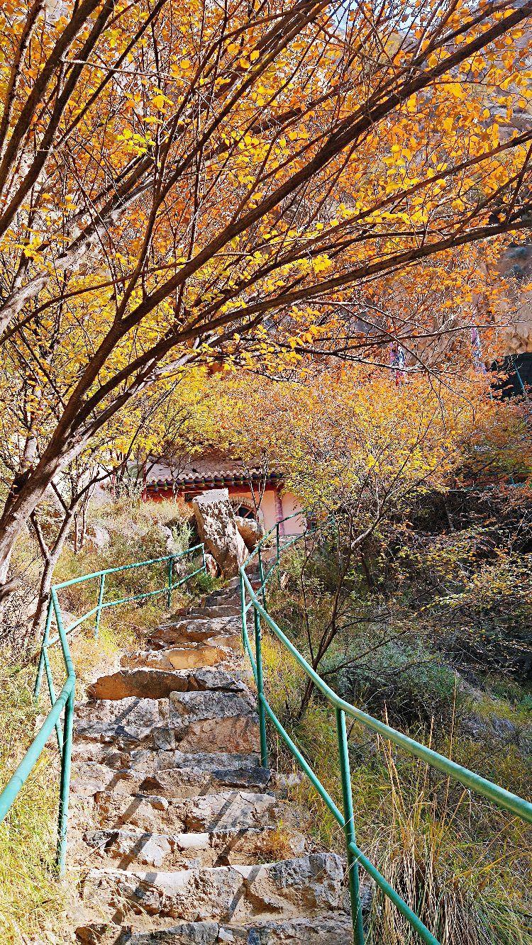 寺口东景区 - 星际高球联盟-中国精英人士高尔夫旅游度假实景