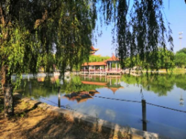 龙庄公园 - 星际高球联盟-中国精英人士高尔夫旅游度假实景