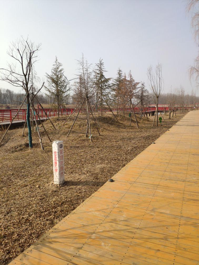 九龙湿地公园 - 星际高球联盟-中国精英人士高尔夫旅游度假实景