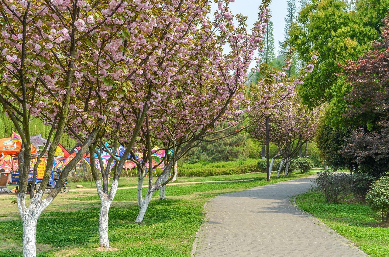 北固山公园 - 星际高球联盟-中国精英人士高尔夫旅游度假实景