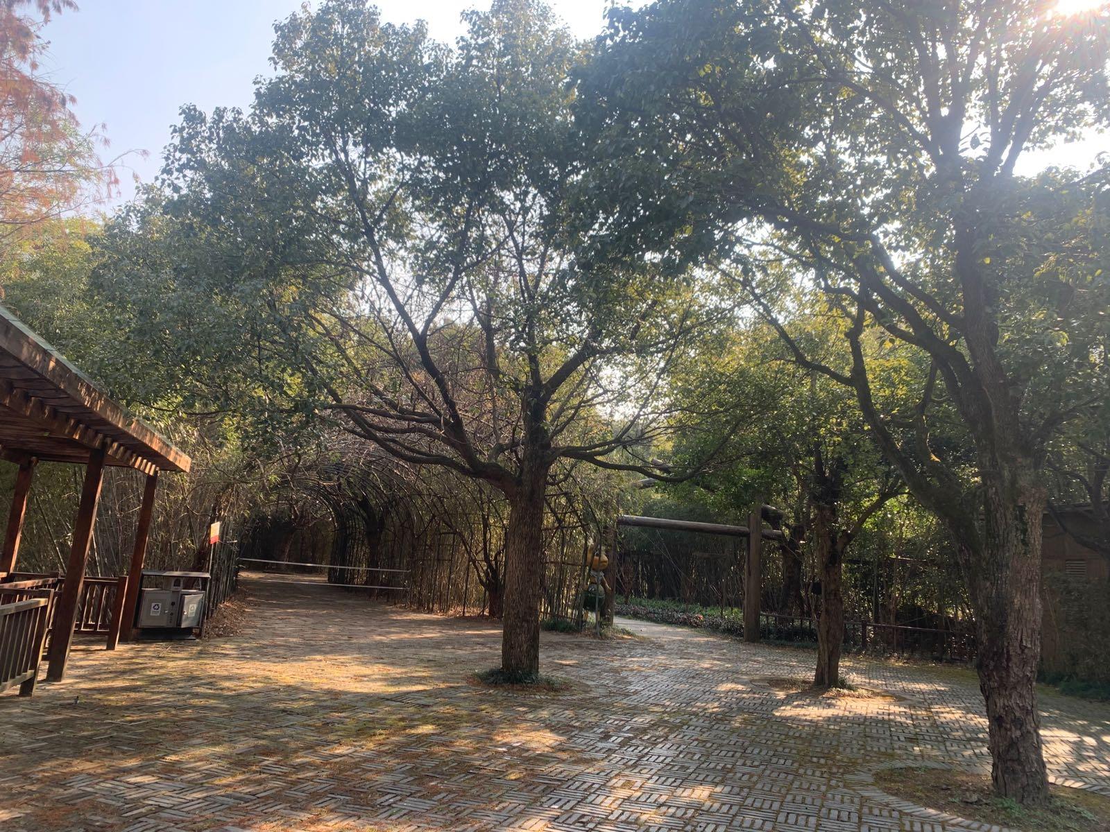 茶人谷 - 星际高球联盟-中国精英人士高尔夫旅游度假实景