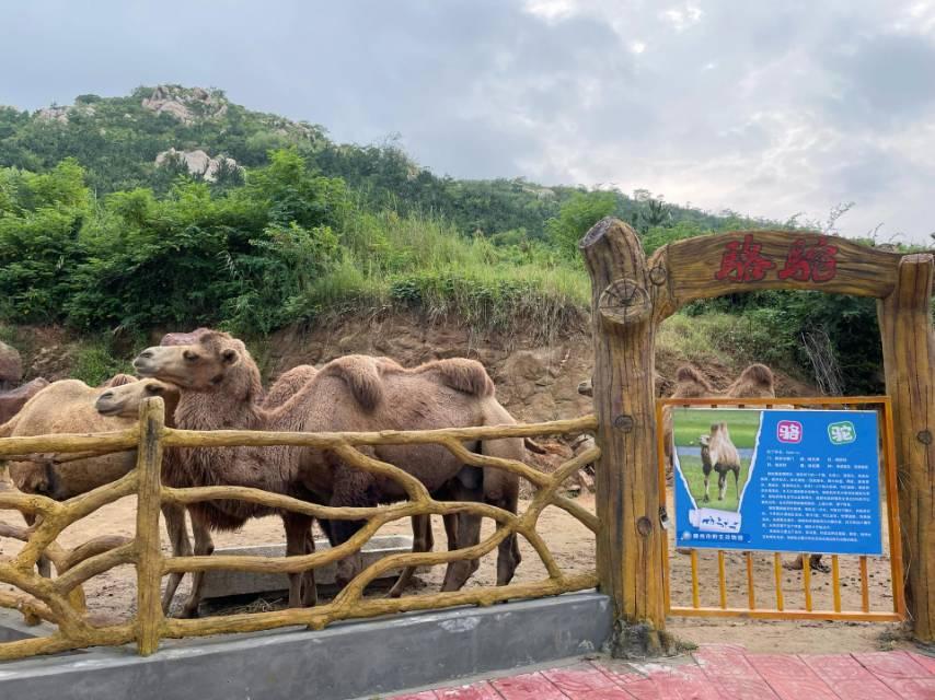 滕州市野生动物园 - 星际高球联盟-中国精英人士高尔夫旅游度假实景