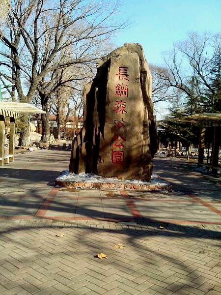 长钢森林公园 - 星际高球联盟-中国精英人士高尔夫旅游度假实景