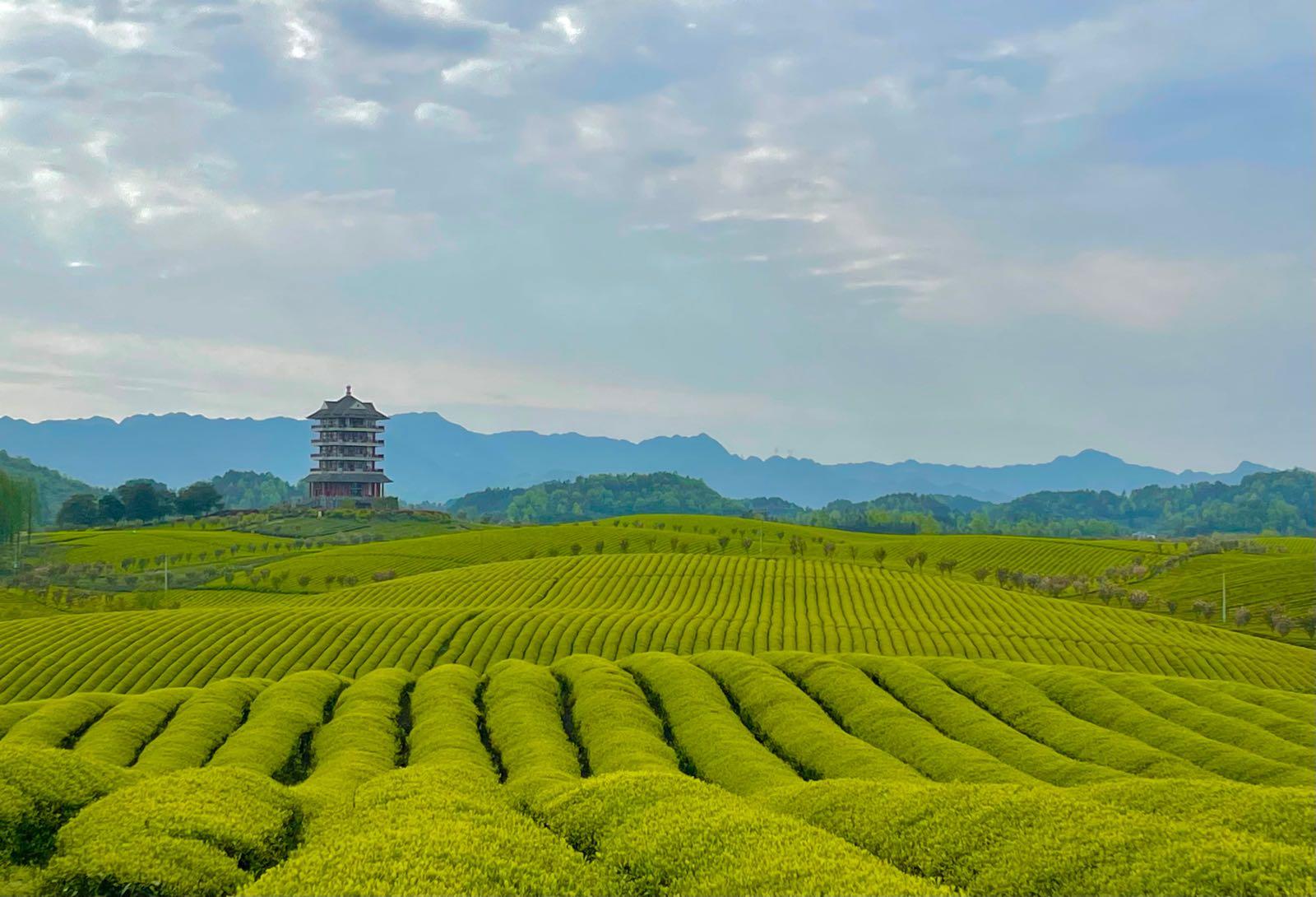 茶海景区 - 星际高球联盟-中国精英人士高尔夫旅游度假实景