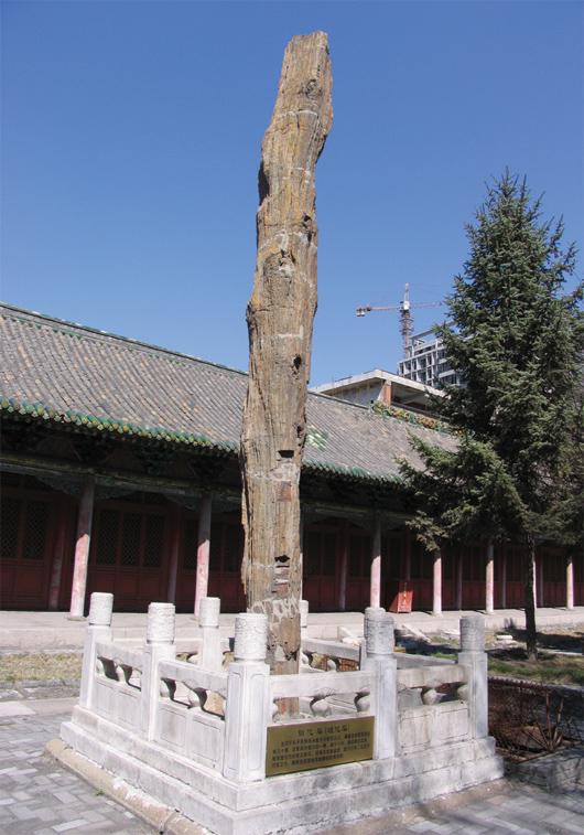 长子县木化石公园 - 星际高球联盟-中国精英人士高尔夫旅游度假实景