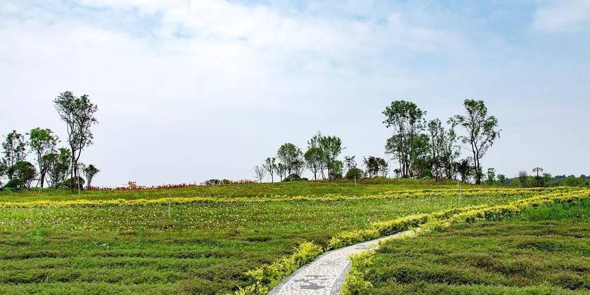 百草园景区 - 星际高球联盟-中国精英人士高尔夫旅游度假实景