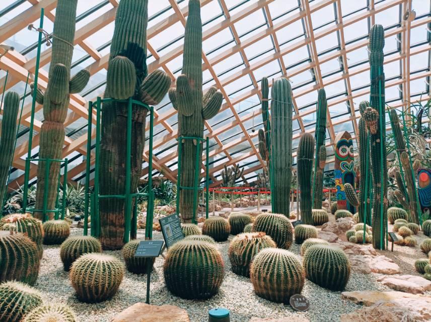 太原植物园 - 星际高球联盟-中国精英人士高尔夫旅游度假实景