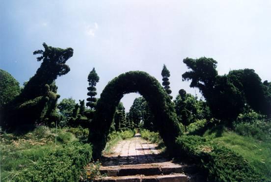 铜陵植物园 - 星际高球联盟-中国精英人士高尔夫旅游度假实景