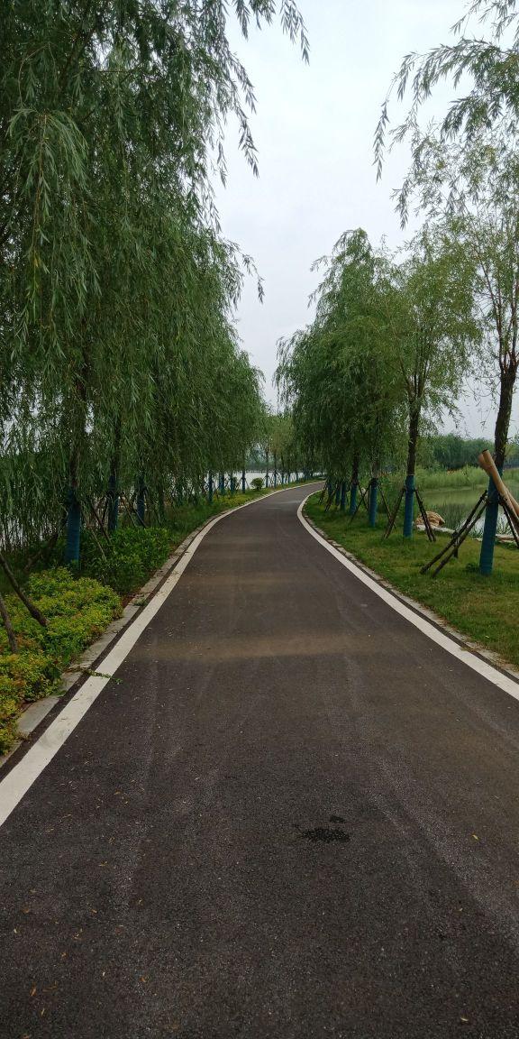湖北咸宁向阳湖国家湿地公园 - 星际高球联盟-中国精英人士高尔夫旅游度假实景
