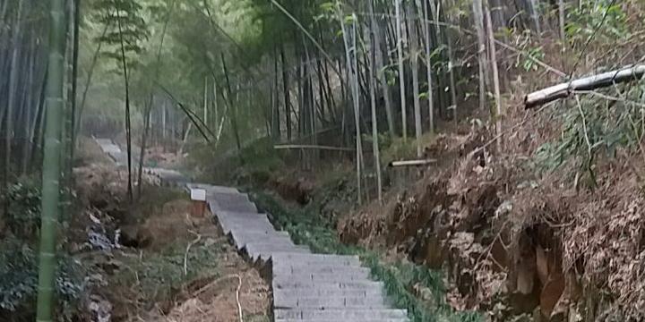 笄山竹海风景区 - 星际高球联盟-中国精英人士高尔夫旅游度假实景