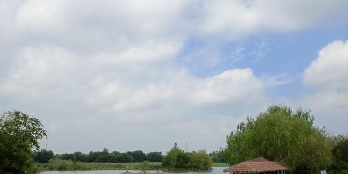 孝感朱湖国家湿地公园 - 星际高球联盟-中国精英人士高尔夫旅游度假实景