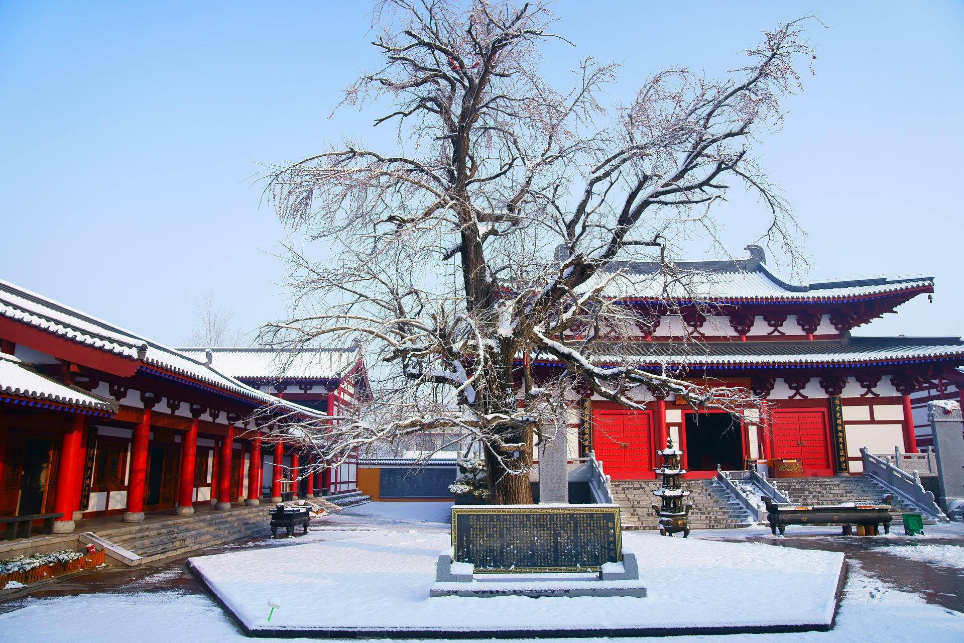 邳州白马寺 - 星际高球联盟-中国精英人士高尔夫旅游度假实景