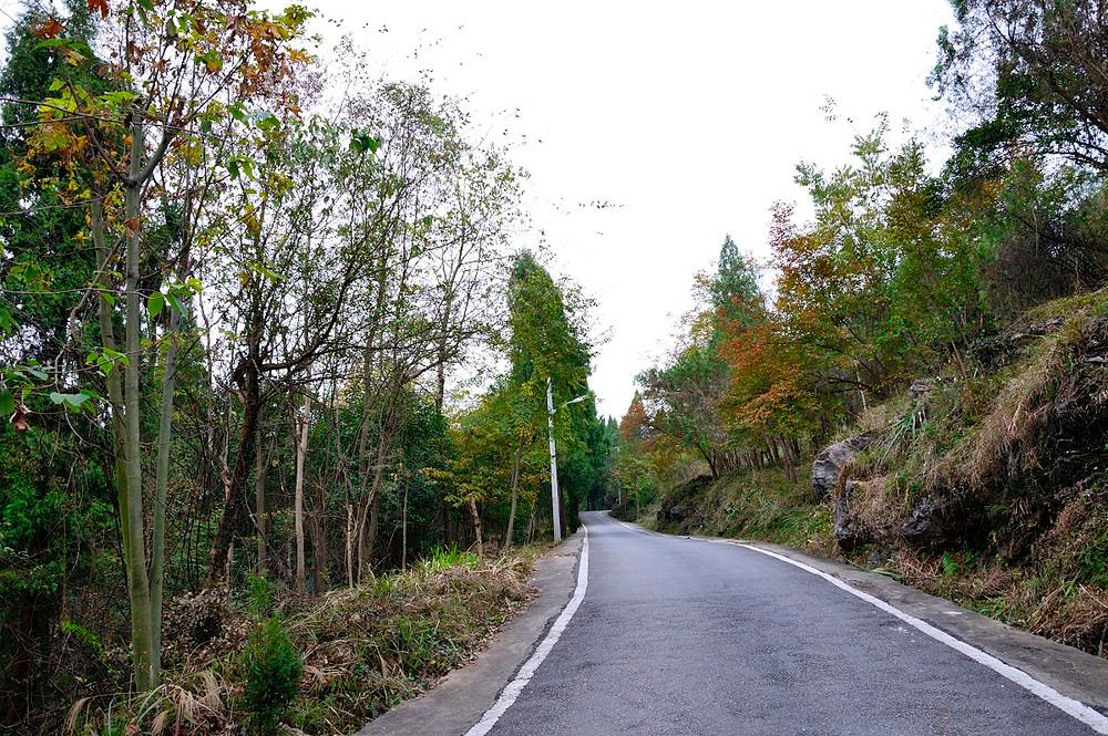 凤池山森林公园 - 星际高球联盟-中国精英人士高尔夫旅游度假实景