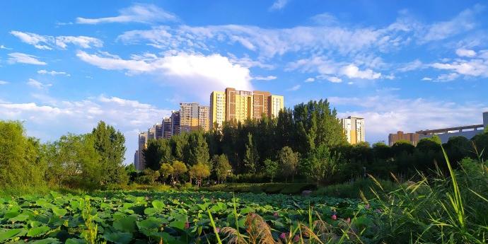 灞桥生态湿地公园 - 星际高球联盟-中国精英人士高尔夫旅游度假实景