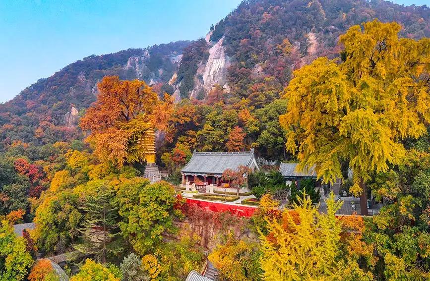 天成寺 - 星际高球联盟-中国精英人士高尔夫旅游度假实景