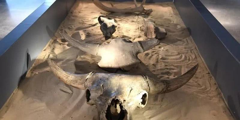 霍林郭勒市博物馆 - 星际高球联盟-中国精英人士高尔夫旅游度假实景