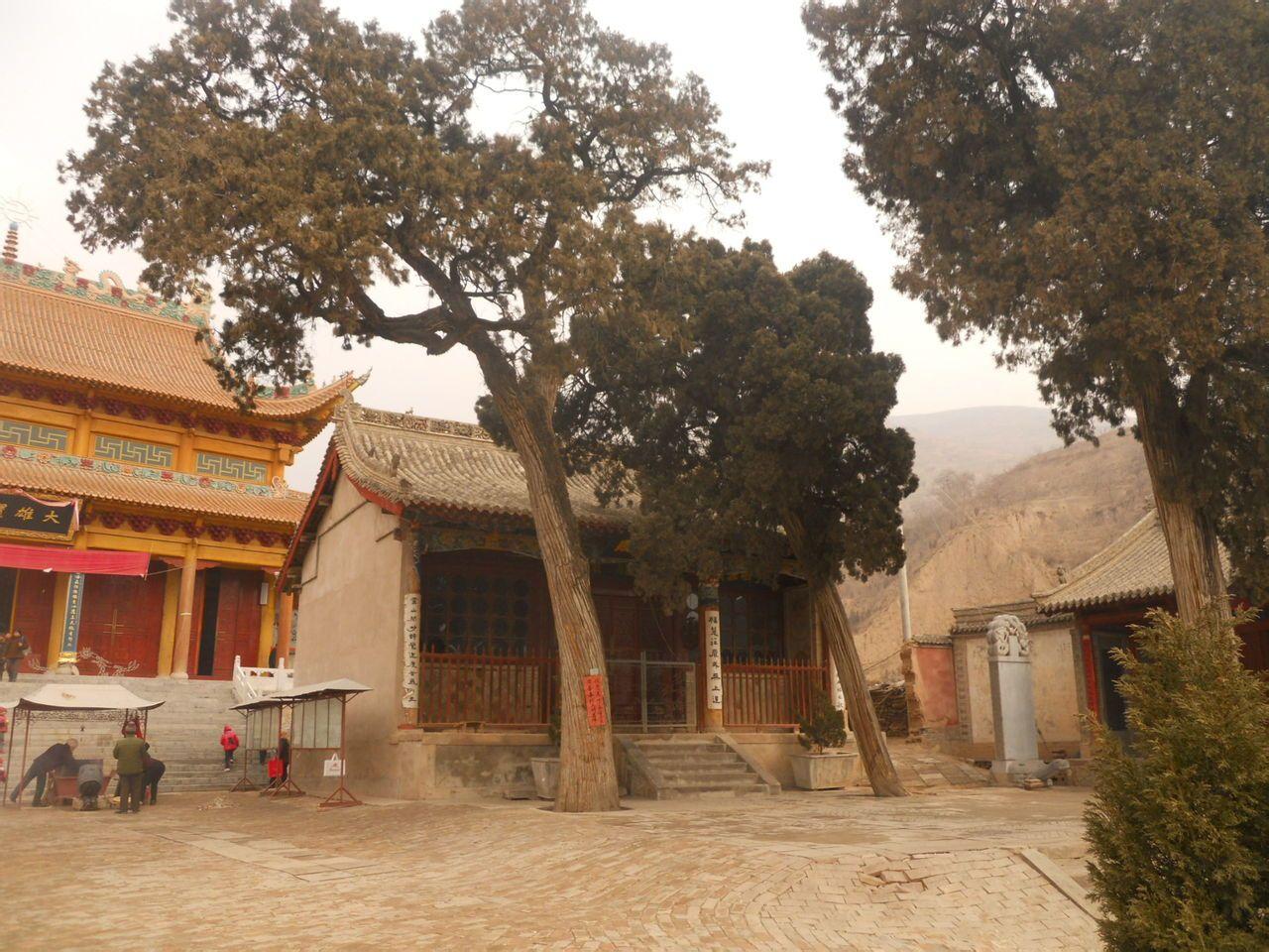 蔡家寺 - 星际高球联盟-中国精英人士高尔夫旅游度假实景