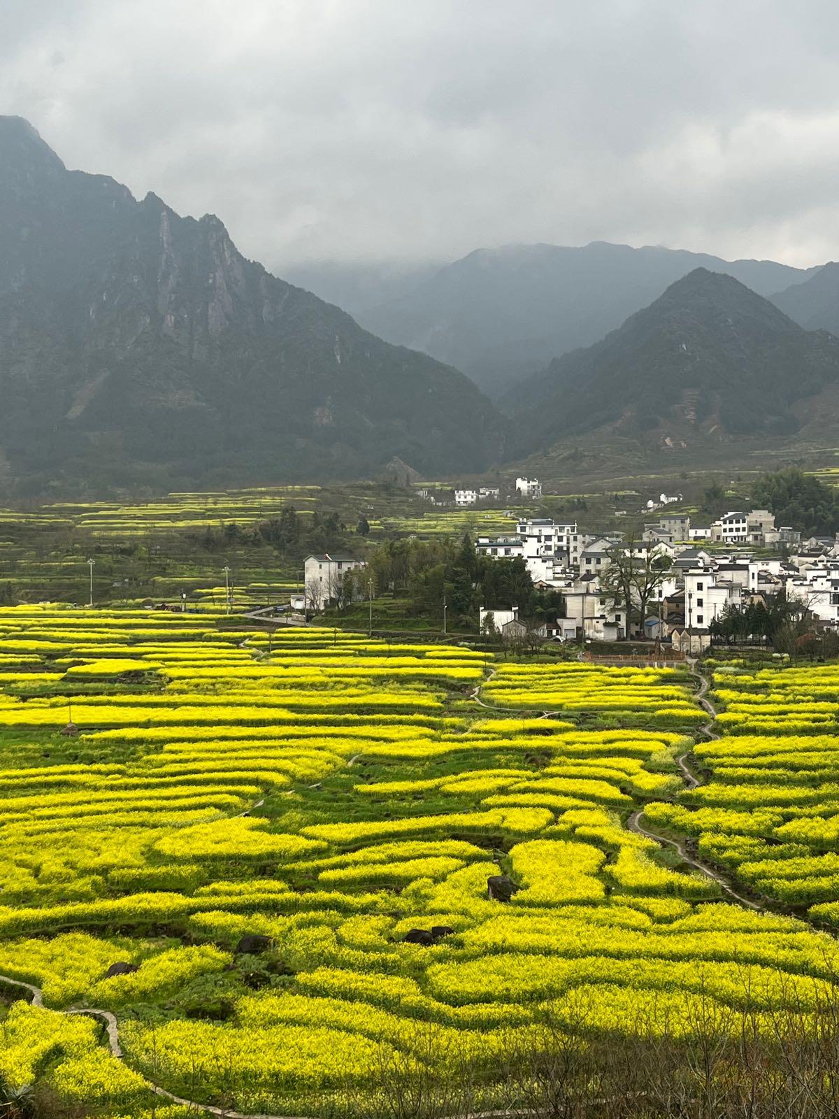 梅干岭观景台 - 星际高球联盟-中国精英人士高尔夫旅游度假实景