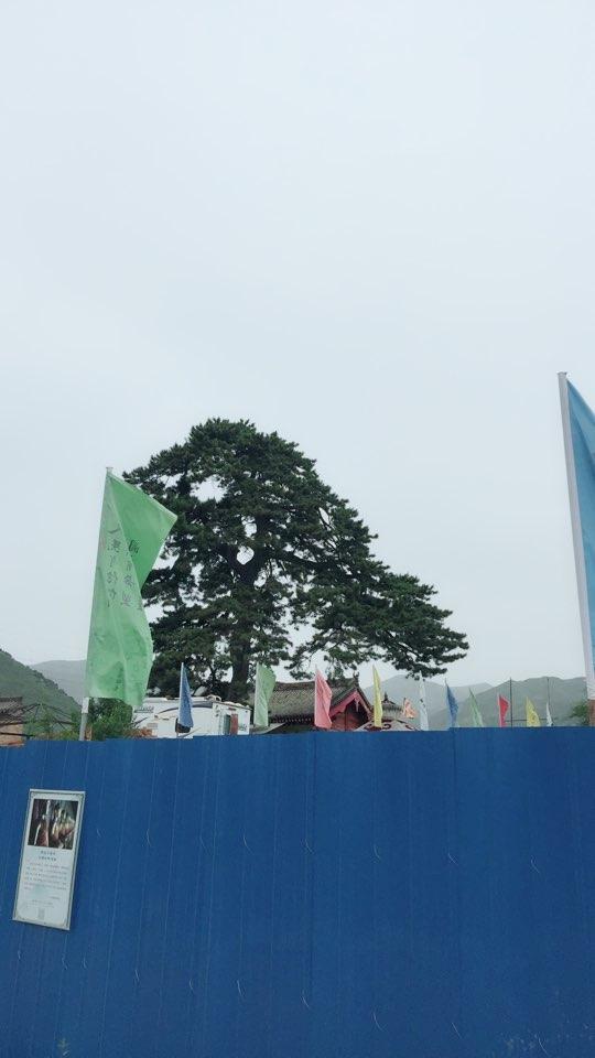古文殊寺 - 星际高球联盟-中国精英人士高尔夫旅游度假实景