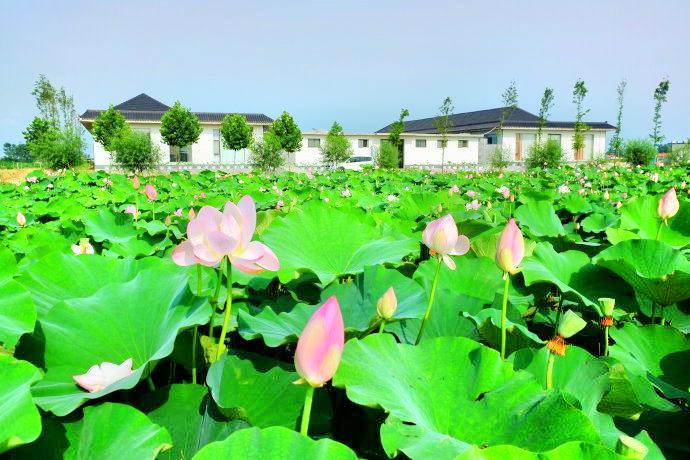 日照荷仙子湿地风景区 - 星际高球联盟-中国精英人士高尔夫旅游度假实景