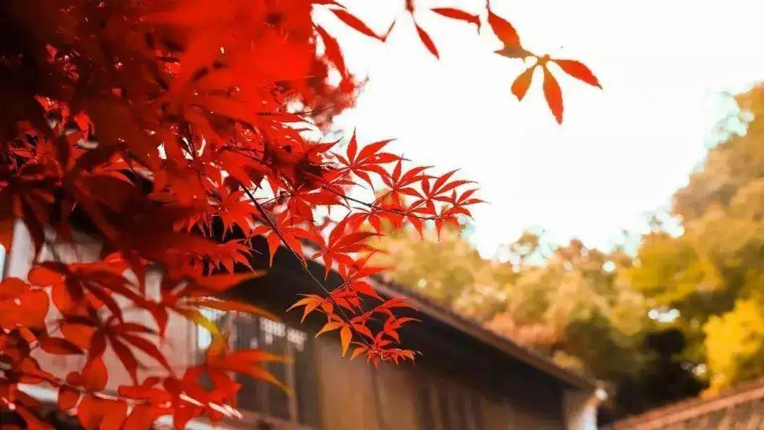 耳闸公园 - 星际高球联盟-中国精英人士高尔夫旅游度假实景