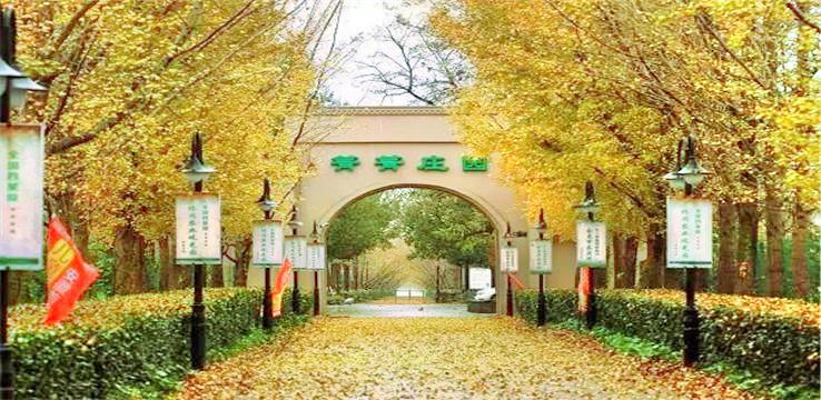 箐箐庄园 - 星际高球联盟-中国精英人士高尔夫旅游度假实景