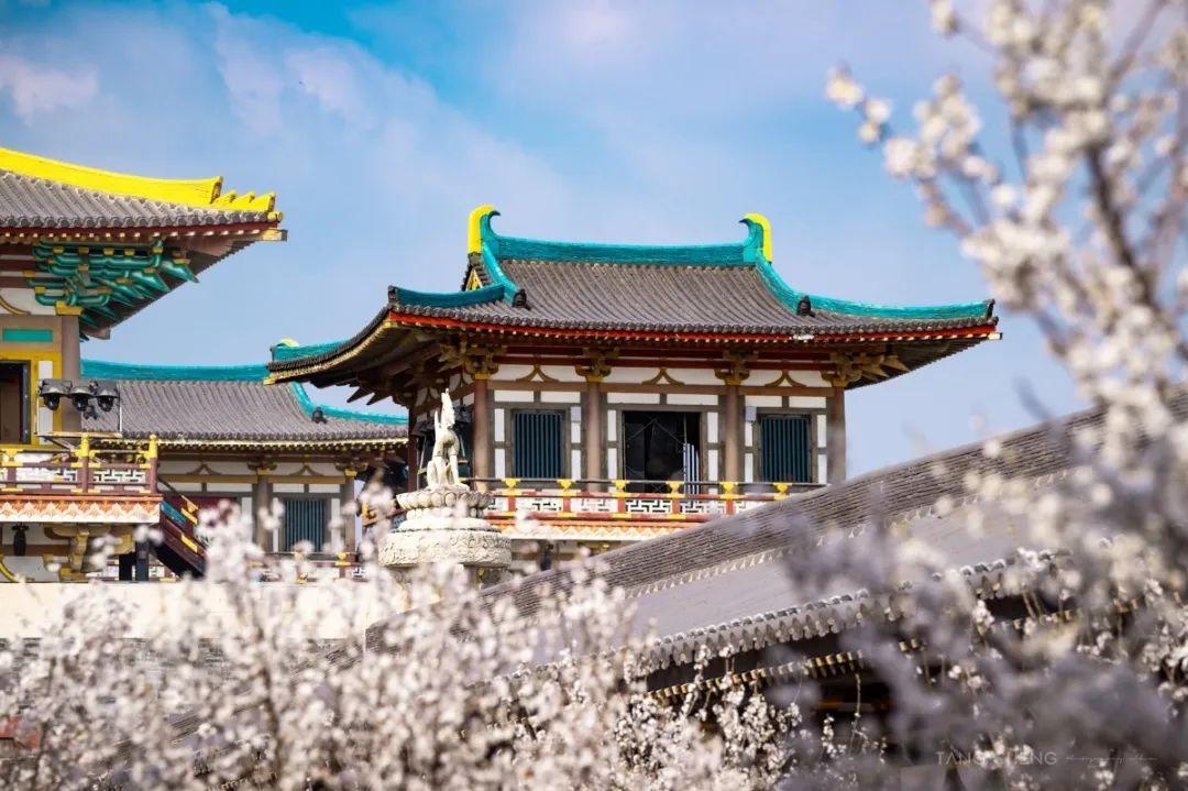 襄阳盛世唐城景区 - 星际高球联盟-中国精英人士高尔夫旅游度假实景