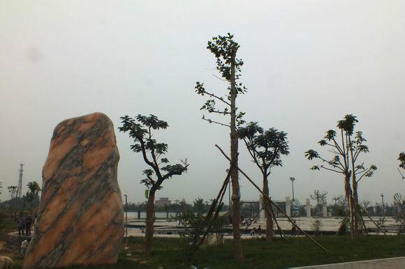 大唐养生园 - 星际高球联盟-中国精英人士高尔夫旅游度假实景