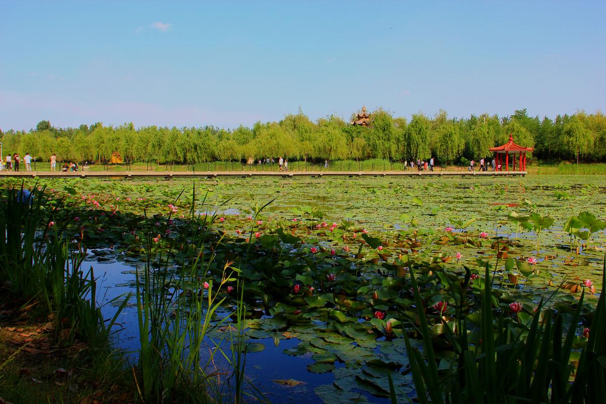 滦州市森林公园 - 星际高球联盟-中国精英人士高尔夫旅游度假实景