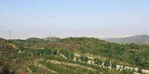 东山五龙城郊森林公园 - 星际高球联盟-中国精英人士高尔夫旅游度假实景