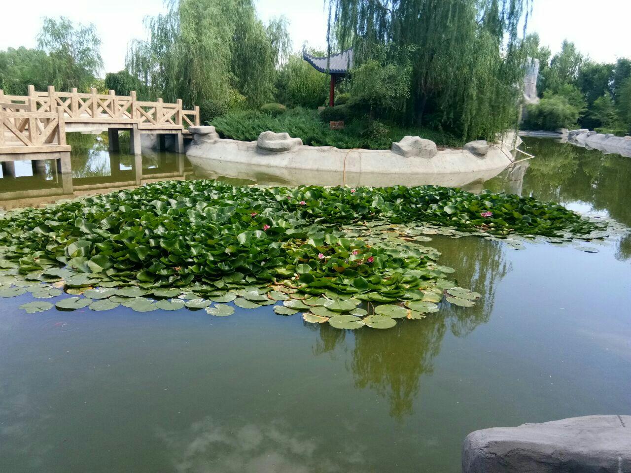古榆园 - 星际高球联盟-中国精英人士高尔夫旅游度假实景