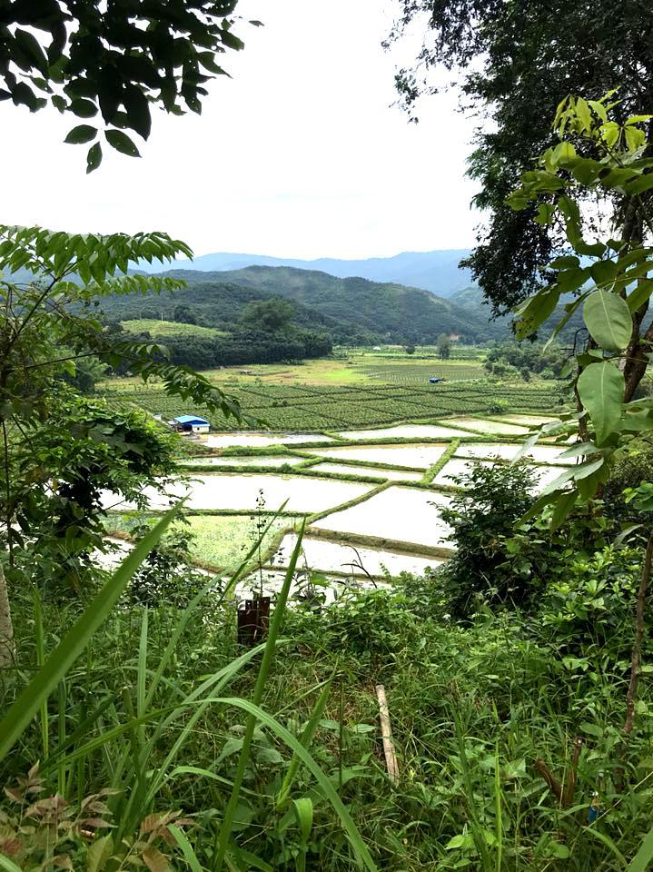 中缅边境公园 - 星际高球联盟-中国精英人士高尔夫旅游度假实景
