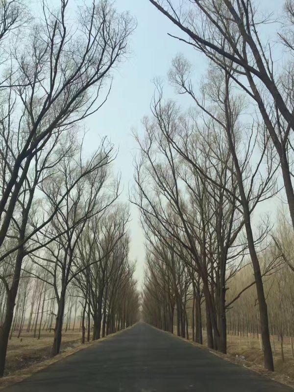 草甘沙漠风景旅游区 - 星际高球联盟-中国精英人士高尔夫旅游度假实景