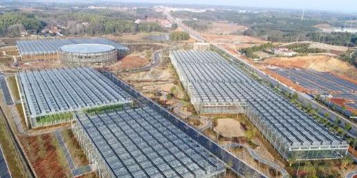 田野乡村公园 - 星际高球联盟-中国精英人士高尔夫旅游度假实景