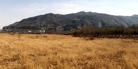 西宁宁湖湿地 - 星际高球联盟-中国精英人士高尔夫旅游度假实景