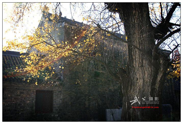 广德寺 - 星际高球联盟-中国精英人士高尔夫旅游度假实景