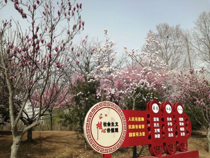 五莲县中心公园 - 星际高球联盟-中国精英人士高尔夫旅游度假实景