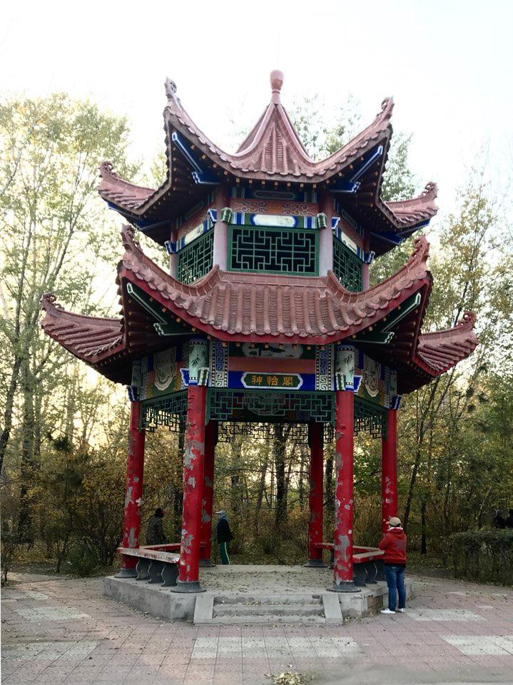 青年游园 - 星际高球联盟-中国精英人士高尔夫旅游度假实景